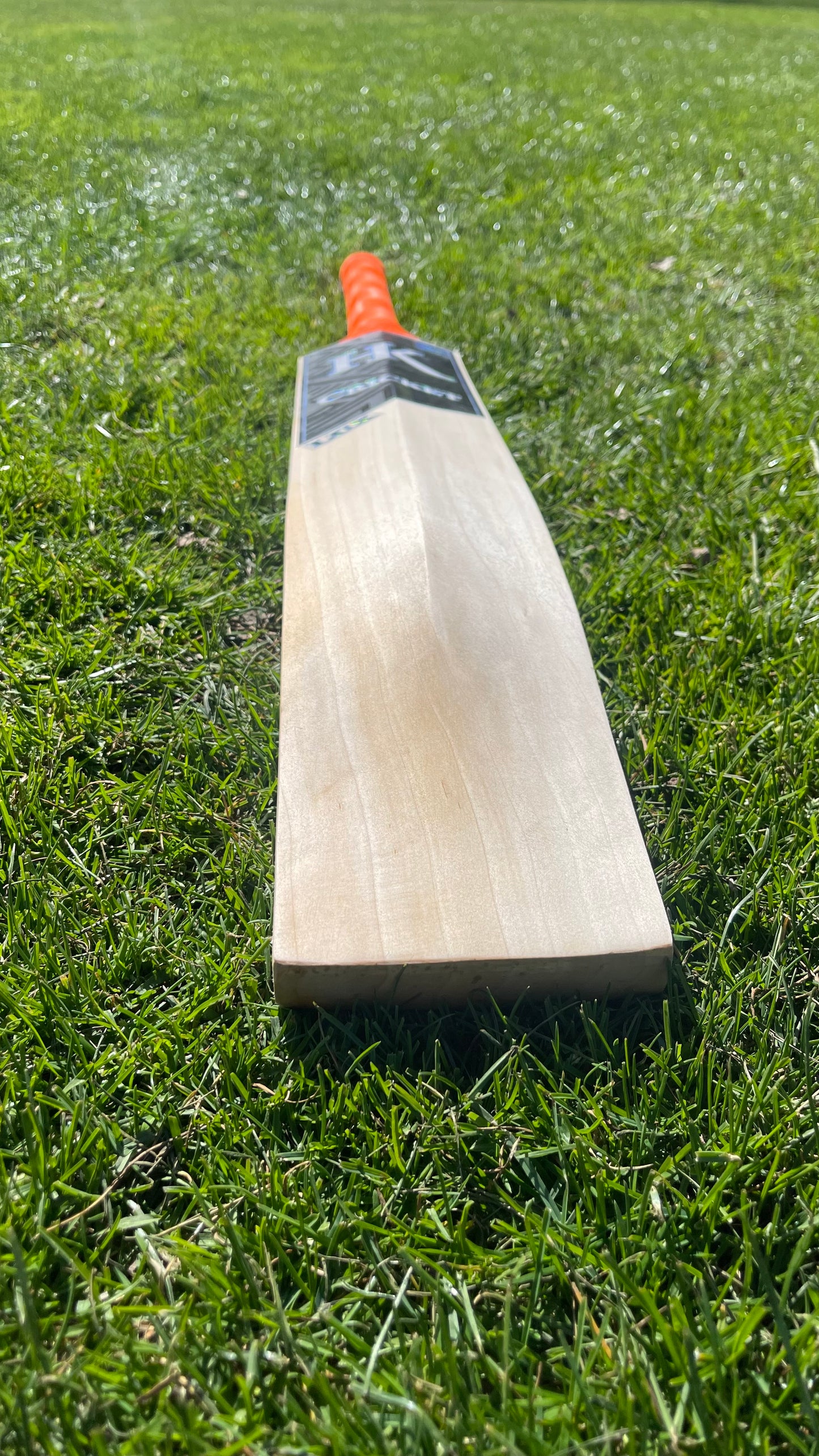 HK Grade 2 English Willow