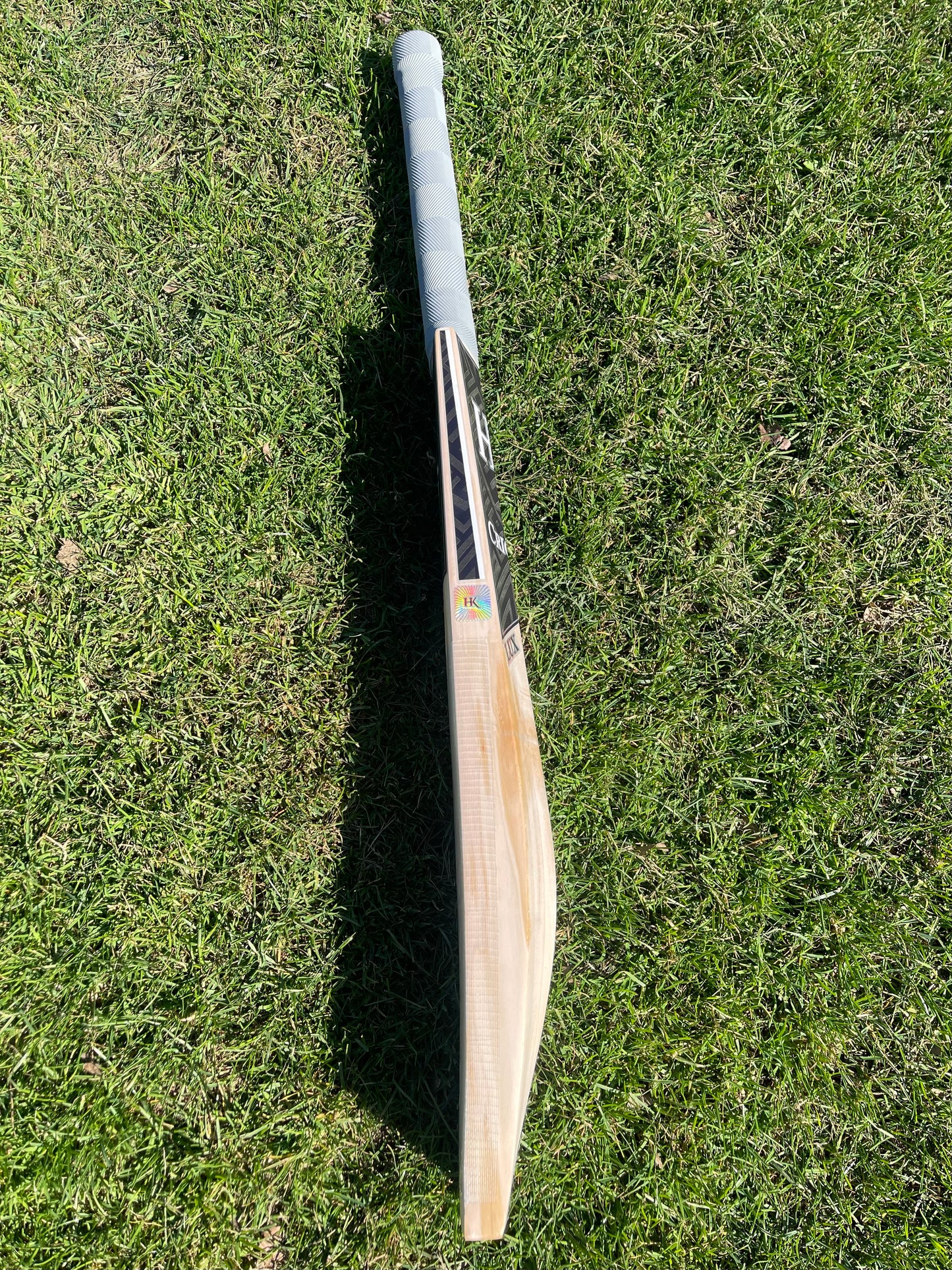 HK Grade 3 English Willow