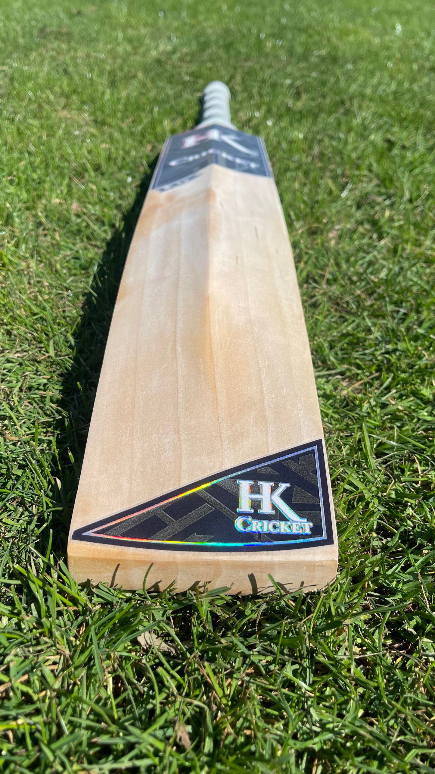 HK Grade 3 English Willow