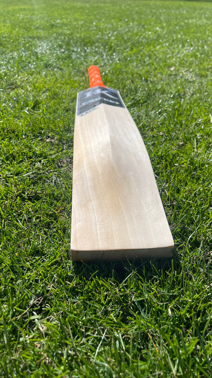 HK Grade 2 English Willow