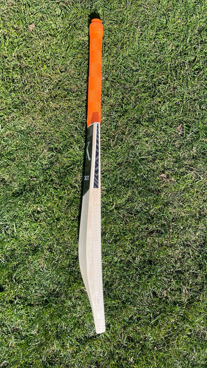HK Grade 2 English Willow